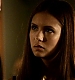 TVD_218.JPG