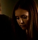 TVD_223.JPG