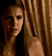 TVD_327.JPG