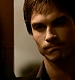 TVD_330.JPG