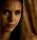 TVD_331.JPG
