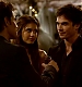 TVD_349.JPG
