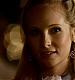TVD_365.JPG