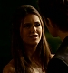 TVD_379.JPG
