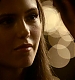 TVD_433.JPG