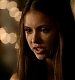 TVD_485.JPG