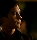 TVD_486.JPG