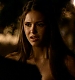 TVD_496.JPG