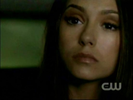 TVD_071.JPG
