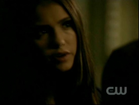 TVD_300.JPG