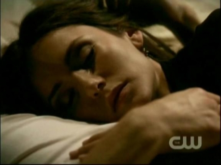 TVD0083.jpg