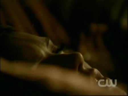 TVD0280.jpg