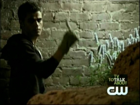 TVD0305.jpg