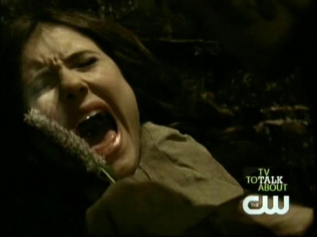TVD0309.jpg