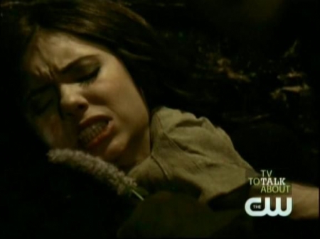 TVD0310.jpg