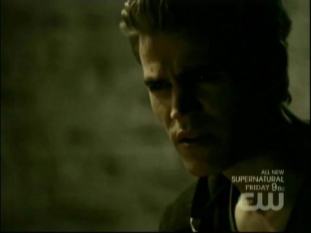 TVD0361.jpg