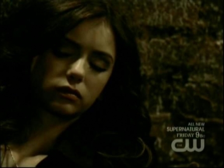 TVD0362.jpg