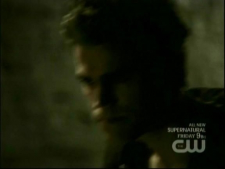 TVD0364.jpg