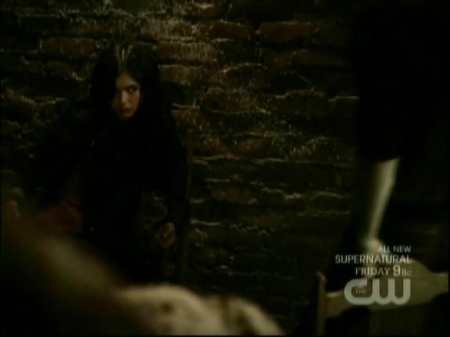 TVD0368.jpg