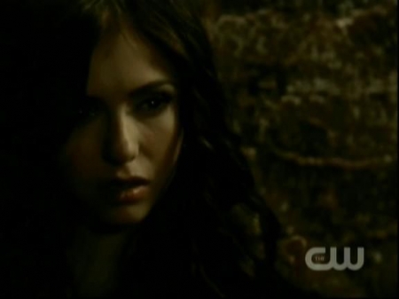 TVD0429.jpg
