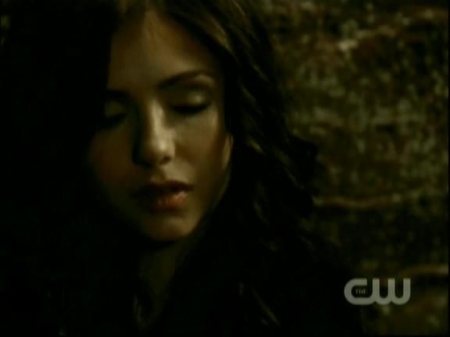 TVD0431.jpg