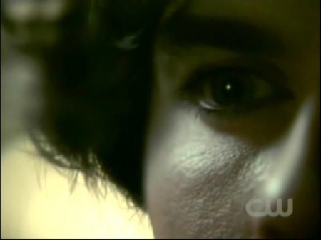 TVD0516.jpg