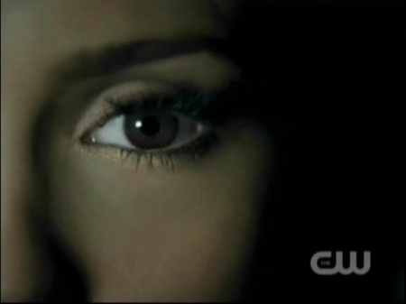 TVD0517.jpg