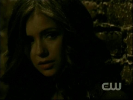 TVD0529.jpg