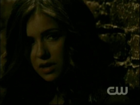 TVD0530.jpg