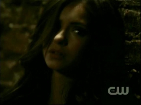 TVD0532.jpg
