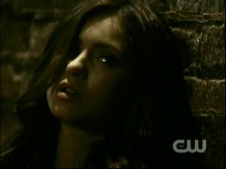 TVD0533.jpg