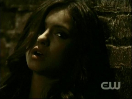 TVD0534.jpg