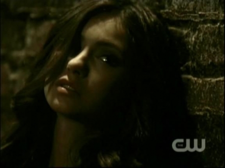 TVD0535.jpg