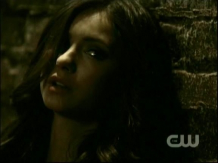 TVD0537.jpg