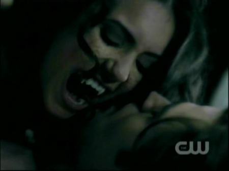TVD0646.jpg