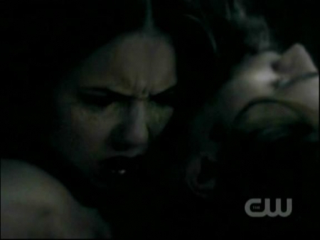 TVD0648.jpg