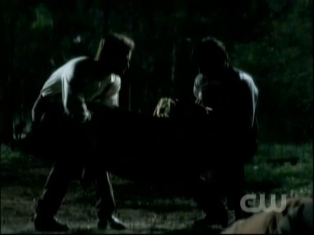 TVD0654.jpg