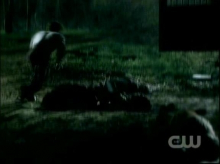 TVD0657.jpg