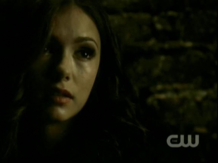 TVD0733.jpg