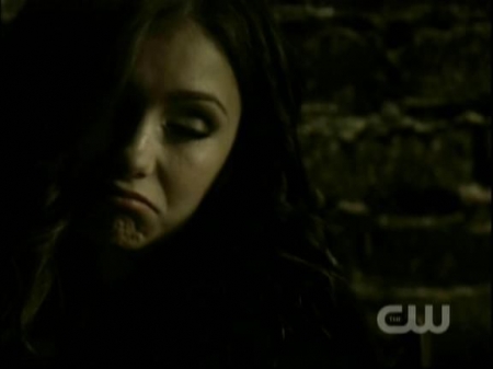 TVD0738.jpg