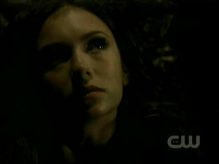 TVD0745.jpg