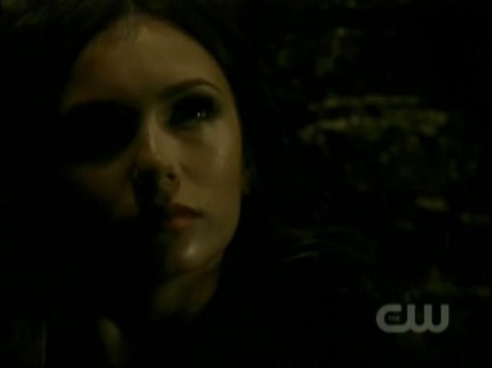 TVD0748.jpg