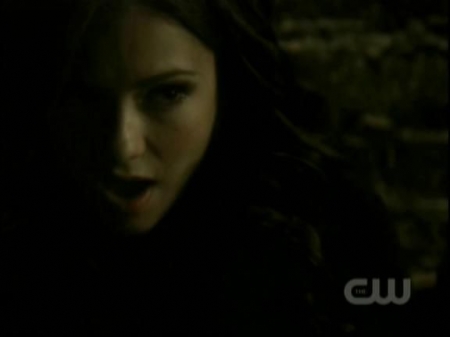 TVD0755.jpg