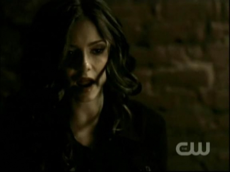 TVD0768.jpg