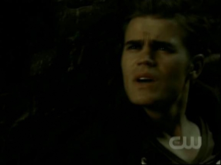TVD0770.jpg