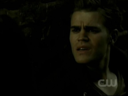 TVD0771.jpg