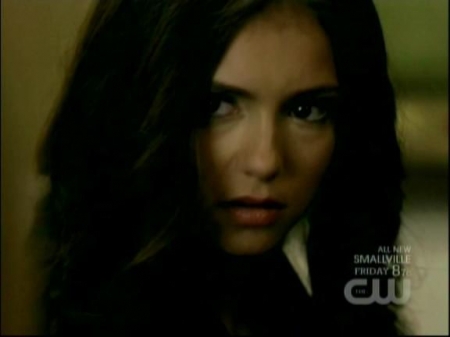 TVD0849.jpg