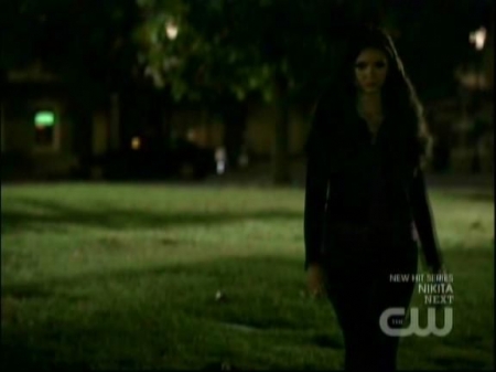 TVD1003.jpg