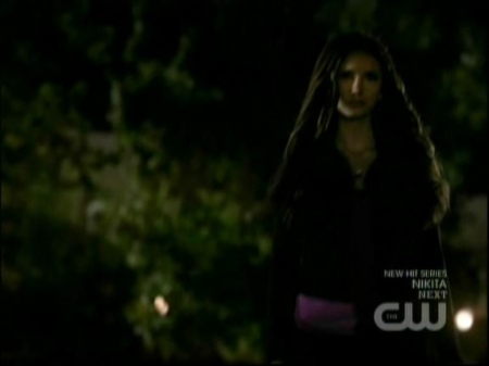 TVD1005.jpg
