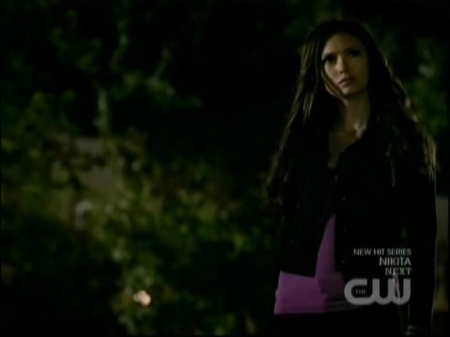 TVD1006.jpg